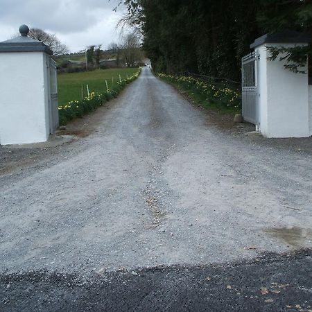 Grove Farm House Inistioge Exterior photo